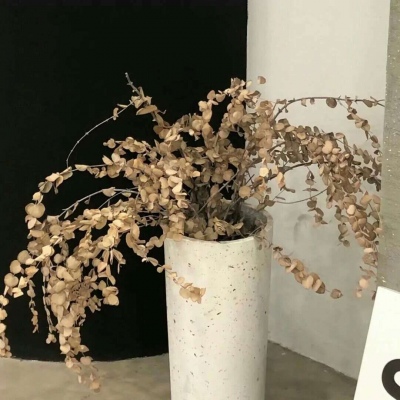 二连浩特FurryQQ群